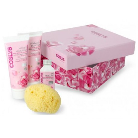 Gloss corail nacré N°808 Gloss corail nacré N°808
