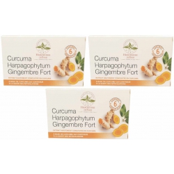Herboristerie de Paris Lot de 3 boîtes de Curcuma Harpagophytum gingembre fort 3 x 60 comprimés partenelle boswellia