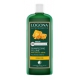 Logona Shampooing au miel et à la bière cheveux fins 250ml cosmétique bio shampoing bio les copines bio