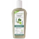 Dermaclay Shampooing Cheveux Gras 250ml Les copines bio