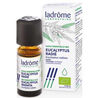 Ladrôme Huile essentielle bio Eucalyptus radié radiata 10ml pureté antiseptique Les copines bio