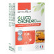 Diet Horizon Gluco Chondro 2700 60 comprimés les copines bio articulations