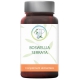 Planticinal Boswellia serrata 90 gélules acide boswellique antioxydant Les copines bio
