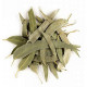 Herboristerie de Paris Eucalyptus feuilles longues entières bio 100g tisane respiratoire les copines bio