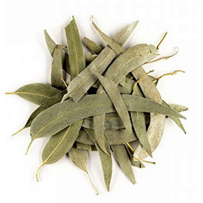 Herboristerie de Paris Eucalyptus feuilles longues entières bio 100g tisane respiratoire les copines bio