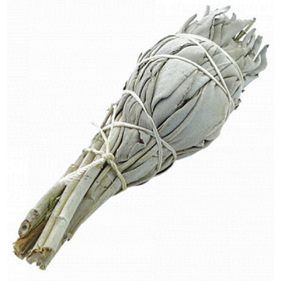 Herboristerie de PARIS Sauge Blanche à Brûler Torche 20gr salvia apiana encens anti-stress les copines bio