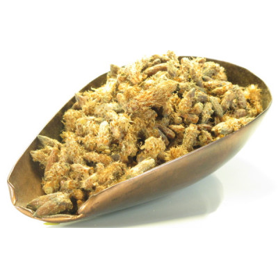 Herboristerie de Paris Bourgeons de Pin Sylvestre en vrac pour tisane et infusion 100gr respiratoire Les copines bio