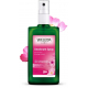 Weleda Déodorant à la rose 100 ml - rose de damas les copines bio