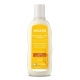 Shampooing régénérant à l'avoine-190 ml