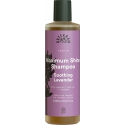 Urtekram Shampoing cheveux normaux Soothing Lavender 250ml  produit de soin capillaire Les Copines Bio