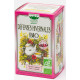 Romon Nature Tisane Défenses hivernales bio 20 sachets 32gr cannelle thym citron Les copines bio