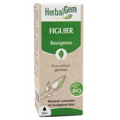 Herbalgem Figuier bio Flacon compte gouttes 50ml Complément alimentaire Les Copines Bio