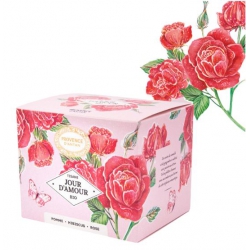 Provence d'Antan Tisane Be Cube Jour D'amour bio 20 sachets recharge infusion jour d'amour rose pomme les copines bio