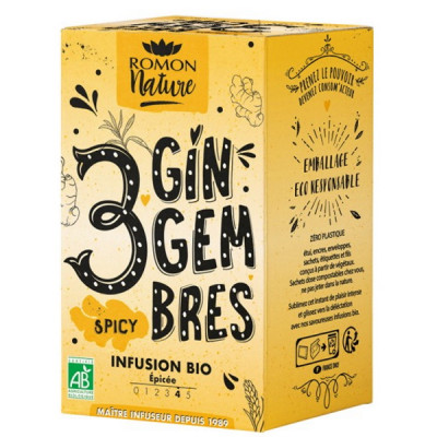 Romon Nature Infusion plaisir 3 Gingembres bio 16 sachets gingembre galanga curcuma tisane les copines bio