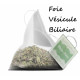 Herboristerie de Paris Tisane Foie Vésicule Biliaire 20 infusettes concentrées de 2gr infusion hépatique les copines bio