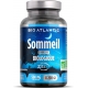 Gph Diffusion Sommeil bio 200 comprimés aubépine passiflore escholtzia Les copines bio sommeil relaxation