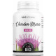 GPH Diffusion Chardon Marie Bio 200 gélules de 300mg dépuratif du foie Les copines bio
