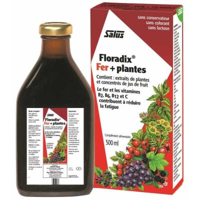 Salus Floradix Fer et Plantes 500 ml fer vitamine B12 antifatigue Les copines bio
