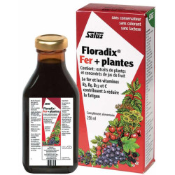 Salus Floradix Fer et Plantes 250 ml fer vitamine b12 Les copines bio