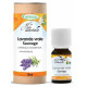 Phytofrance Huile essentielle de Lavande vraie sauvage 10ml lavandula angustifolia Les copines bio